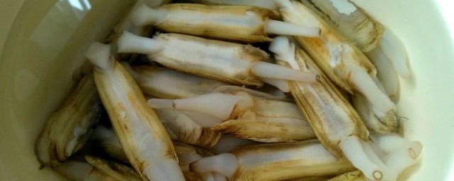 剁椒西兰花蛏子 怎么制作剁椒西兰花蛏子