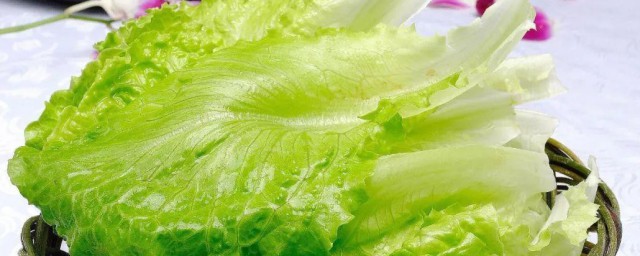 生菜炖排骨 生菜的营养价值和功效