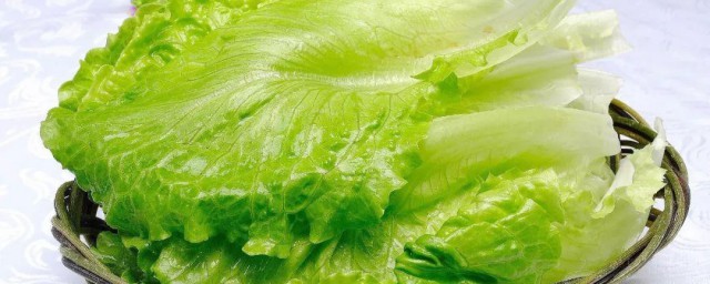 西生菜怎样挑选 什么样的生菜最好吃