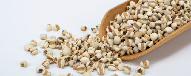 薏米长虫了还能吃吗 薏米生虫子怎么办还能吃吗