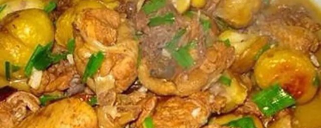 栗杏焖鸡肉 栗杏焖鸡肉怎样做