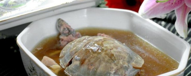龟肉茯苓火锅 龟肉茯苓火锅怎样做