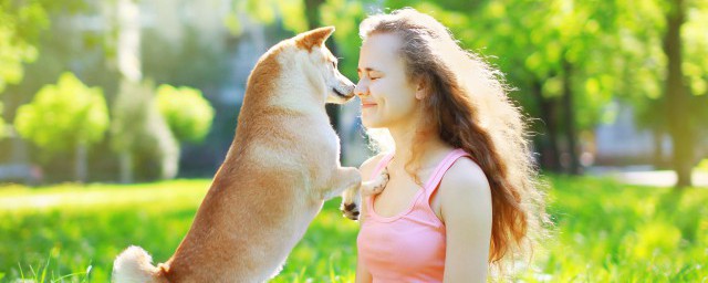 训练爱犬的方法 有哪些训练爱犬的要领