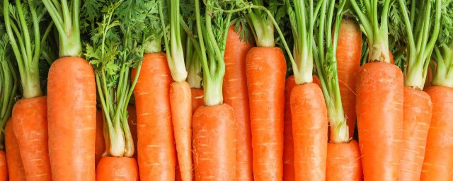 红萝卜苹果瘦肉汤 红萝卜苹果瘦肉汤的制作技巧