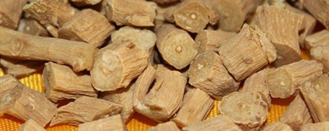 牛膝的功效与作用及忌讳症 牛膝的功效和忌讳是什么