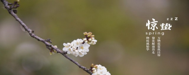 惊蛰节气的特点和风俗 民间有惊蛰吃梨的习俗