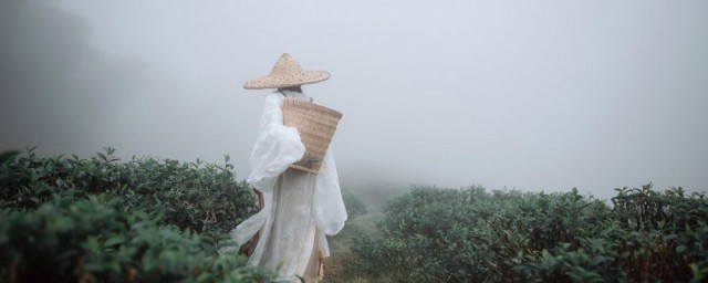 事了拂衣去其中拂衣表达的态度是 事了拂衣去诗句解析