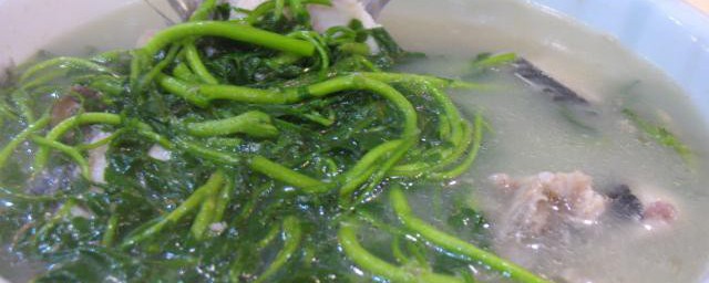 泥鳅西洋菜汤如何做 泥鳅西洋菜汤的做法