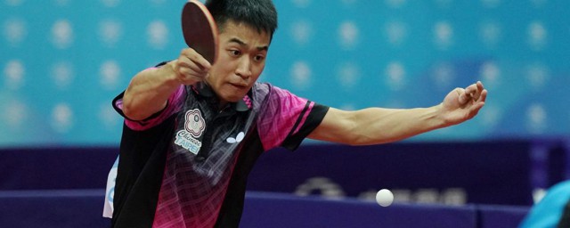 江宏杰是哪国的乒乓球员 江宏杰个人介绍