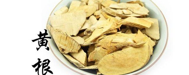 黄根炖猪骨 黄根炖猪骨的烹饪技巧