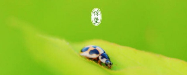 惊蛰节气的简单简介 惊蛰节气简介