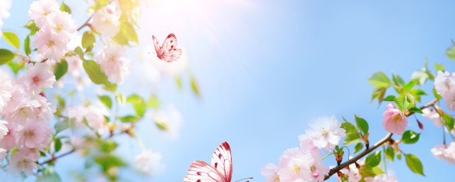 阳春三月的意思 阳春三月的出处