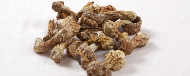 松茸做汤方法 松茸做汤有什么要领