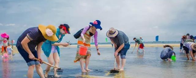 海边赶海抓螃蟹办法 有关在海边巧捉螃蟹的方式