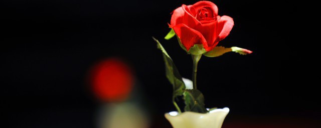 永生花保存要领 永生花掌握保存要领花存更久