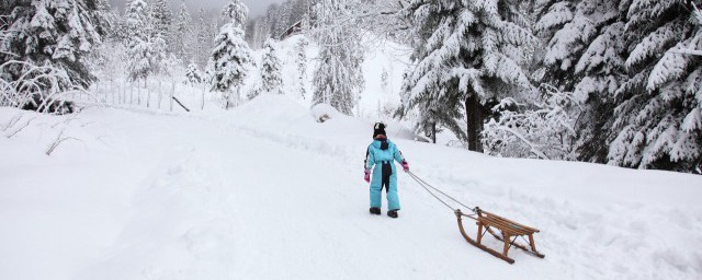 新手单板滑雪要领 单板滑雪入门办法有哪些