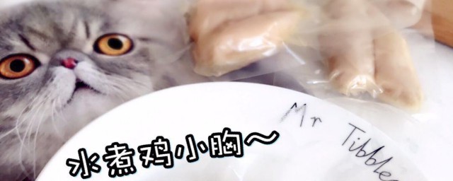 给猫煮鸡胸肉技巧 给猫煮鸡胸肉技巧分享
