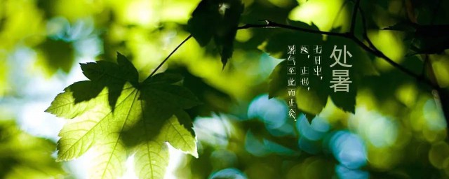三伏天后是什么节气 处暑节气简介