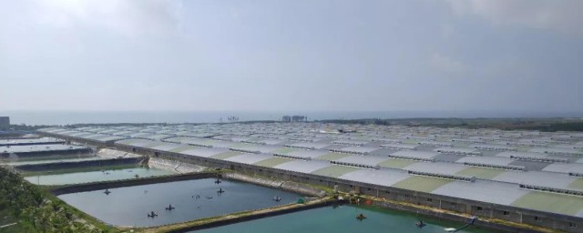 冬天北方捕捉河虾的要领 捕捉河虾用什么饵最好
