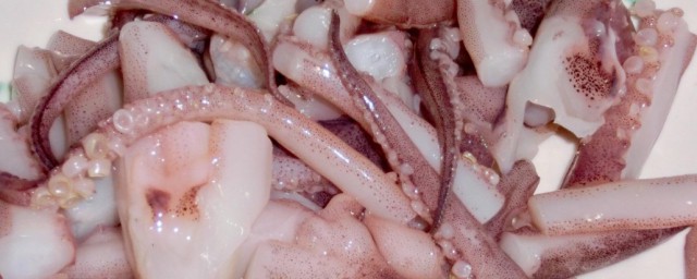 鱿鱼的功效与作用 鱿鱼有哪些好处