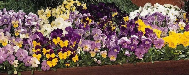 庭院花草施肥技巧 庭院花草怎样施肥