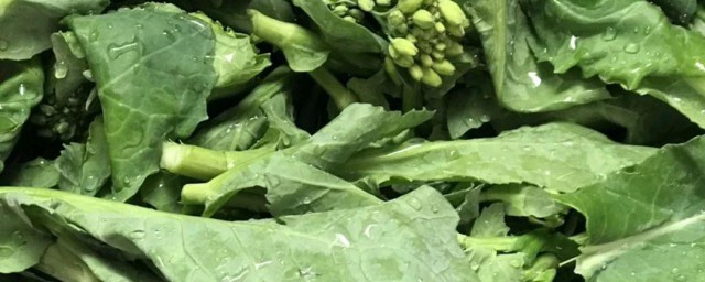 怎样挑选油菜苔 油菜苔怎样挑选