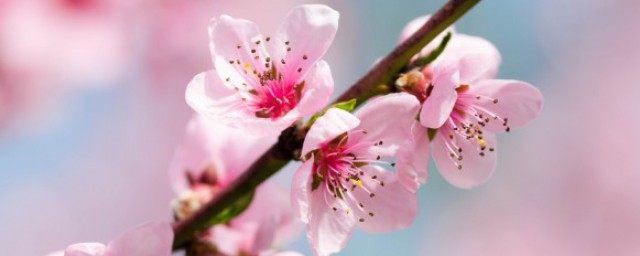 3月励志心情说说致自己 3月励志心情句子精选