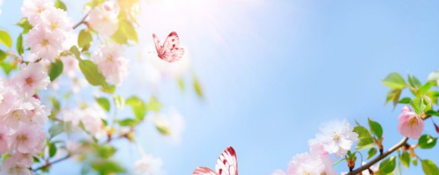 3月正能量说说2023最新 3月正能量句子精选