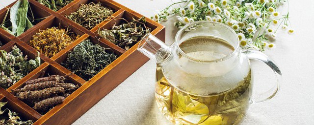 金银花茶的做法 怎么做金银花茶