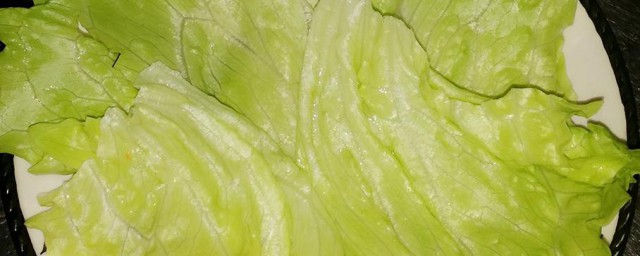 生菜怎样清洗比较干净 生菜清洗技巧
