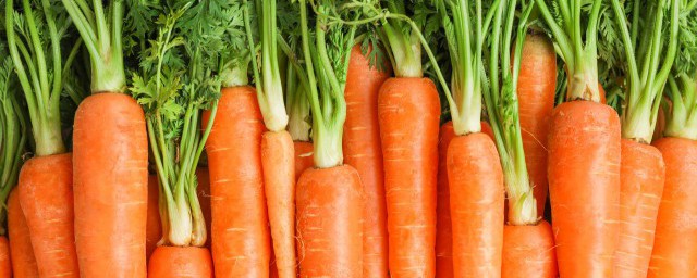 胡萝卜豆腐干的家常做法 胡萝卜炒豆腐干简单做法