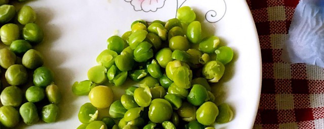 婴儿辅食豌豆怎么做 婴儿辅食豌豆做法