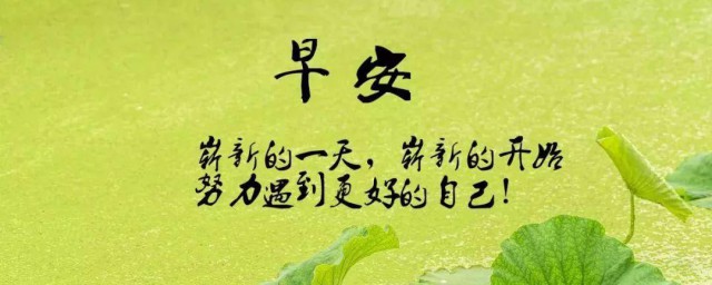 励志精辟的句子简短 关于励志精辟的句子