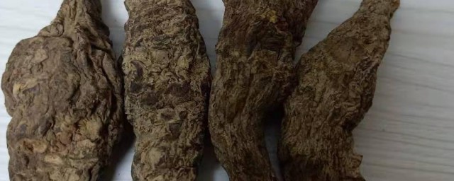 熟地副作用禁忌 熟地有什么副作用禁忌