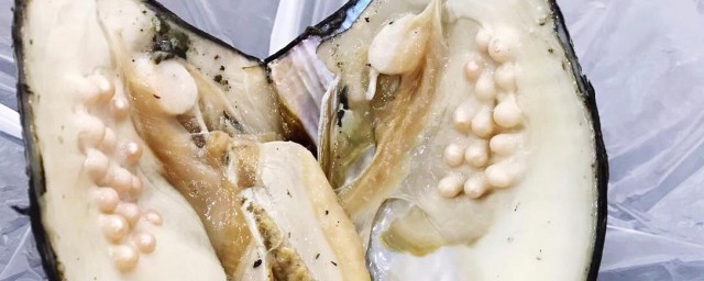 蚌肉的副作用及禁忌 蚌肉鱼什么副作用及禁忌