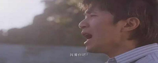 张柏芝周星驰你养我什么电影 该电影简介是什么