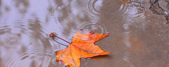 大年初七下雨意味什么 大年初七下雨预示着什么