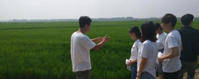 社会意识的相对独立性的表现是什么 社会意识的相对独立性的表现简介