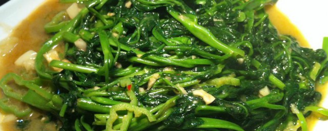 蚝油空心菜的做法 蚝油空心菜的做法简介