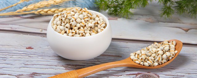 生薏米怎样保存技巧如下 怎样保存薏米