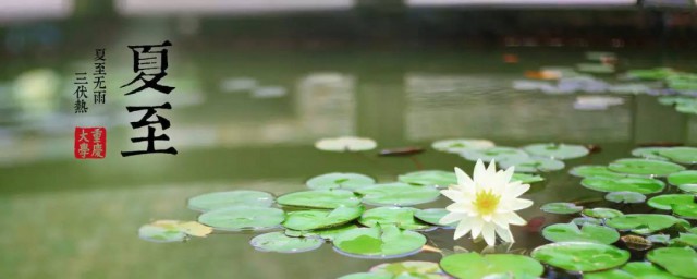 夏至节气简介 夏至节气简介