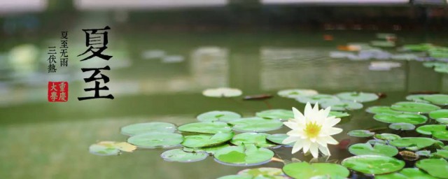 夏至节气介绍 夏至节气介绍