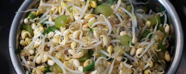 炝拌小豆芽如何做 炝拌小豆芽的具体做法