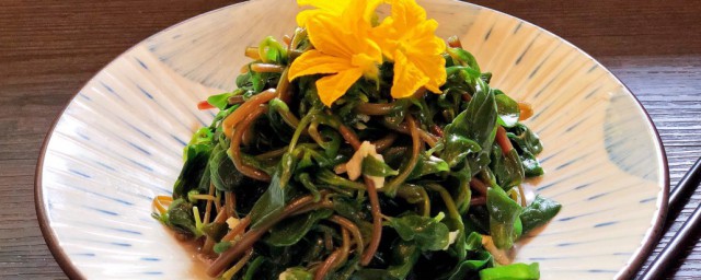 马齿菜的做法大全 马齿菜的烹饪方式