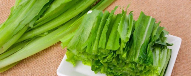 油麦菜是发物吗 油麦菜的简单介绍