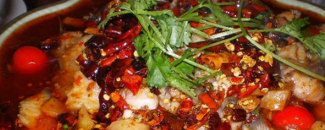 水煮鱼片 水煮鱼片的烹饪技巧
