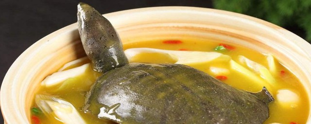 西洋参甲鱼汤怎样做 西洋参甲鱼汤的烹饪技巧