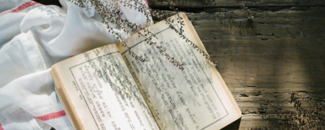 雪梅的思想感情 雪梅的思想感情是什么