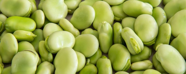 清炒蚕豆怎么做 清炒蚕豆的烹饪方法