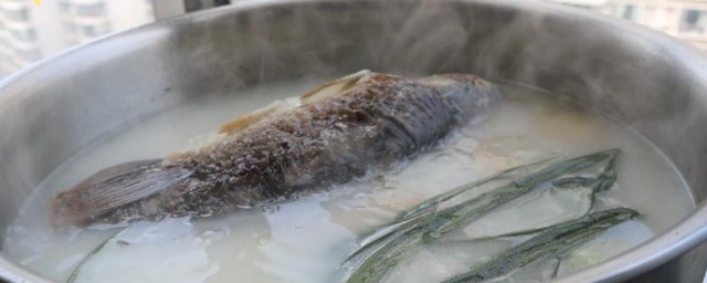 豆浆鲫鱼汤怎样做 怎样做豆浆鲫鱼汤